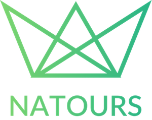 Full Navitours logo